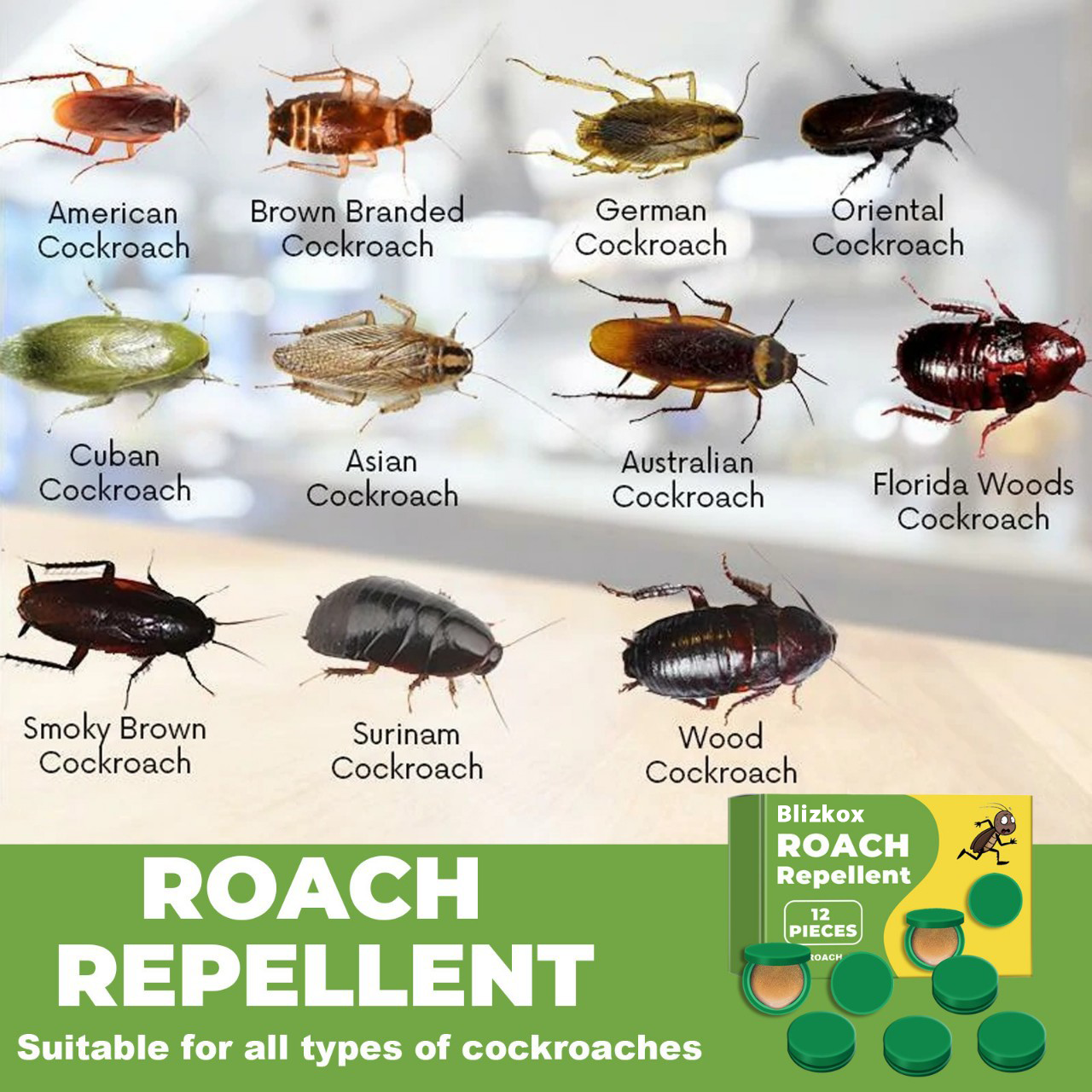 🔥Limited-Time Offer: Buy More, Get More 🔥Blizkox™- Roach Repellent